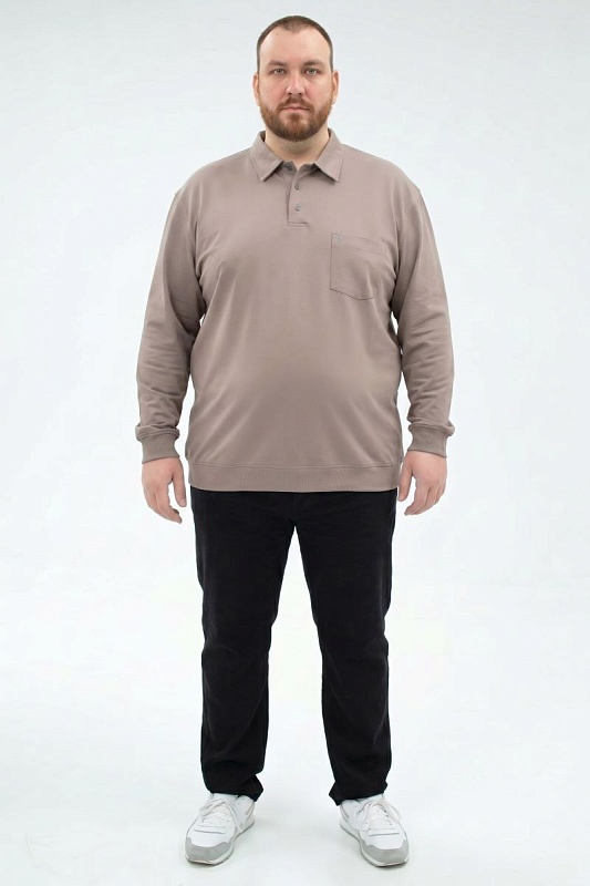 Мужская футболка-поло большого размера, арт 50288/16