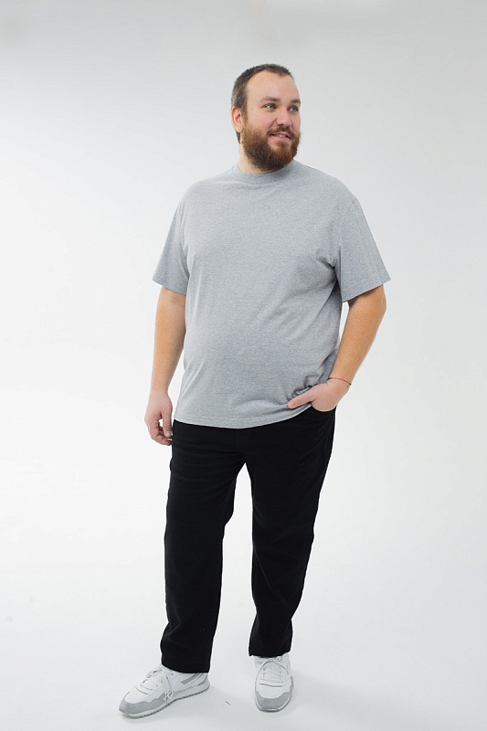 Футболка мужская мужская больших размеров, арт 4070/22 