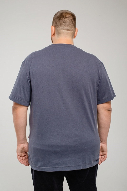 Футболка мужская мужская борльшого размера, арт 4070/2