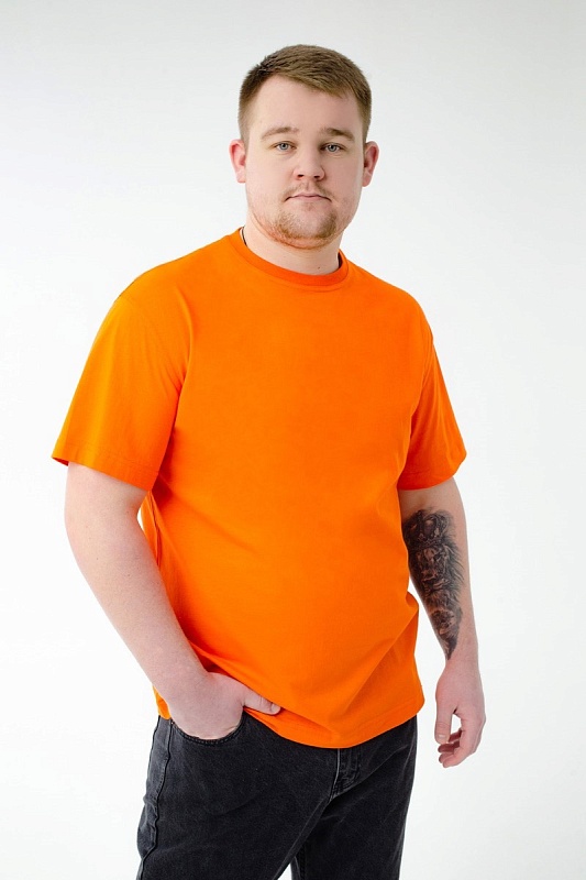 Футболка мужская мужская больших размеров, арт 4070/39 