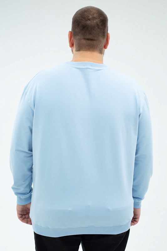 Толстовка мужская