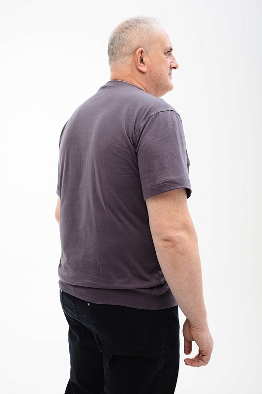 Футболка мужская мужская борльшого размера, арт 40360/3