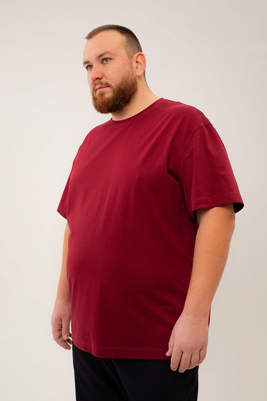 Футболка мужская мужская больших размеров, арт 4080/6 