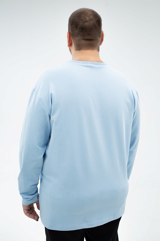 Лонгслив мужской мужская большого размера с длинными рукавами, арт 40419/8 