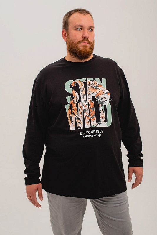 Лонгслив мужской мужская борльшого размера, арт 40140/1/62