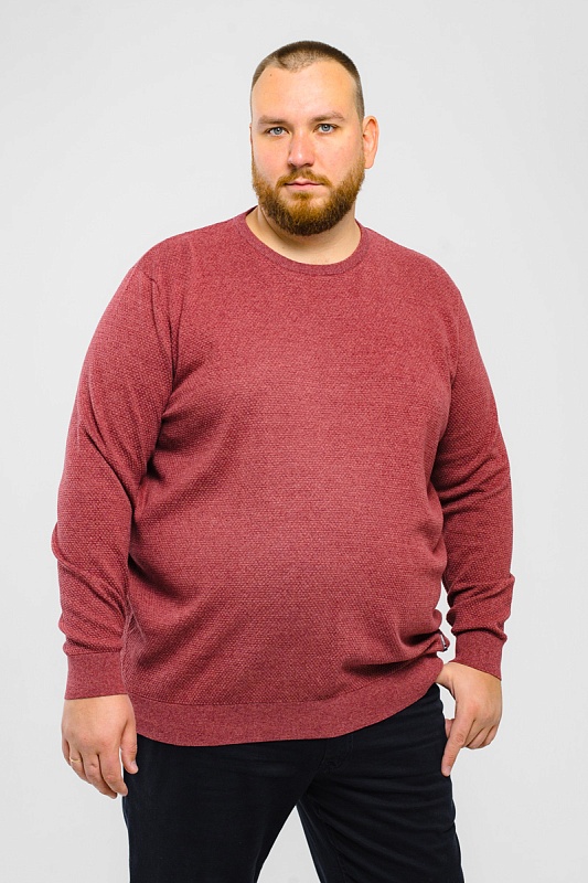 Джемпер CasaModa мужской