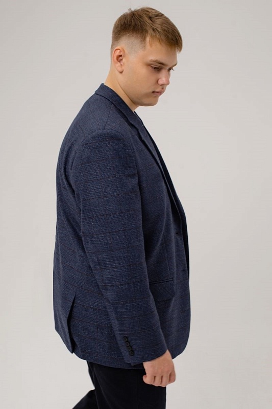 Мужской пиджак большого размера, арт 21131/11