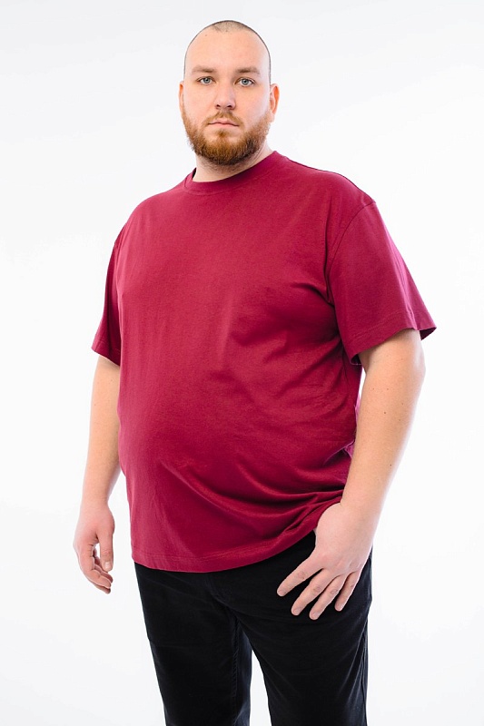 Футболка мужская мужская борльшого размера, арт 4070/6