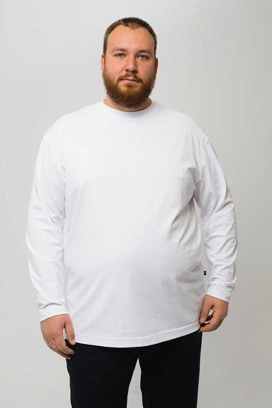 Лонгслив мужской мужская борльшого размера, арт 40140/14