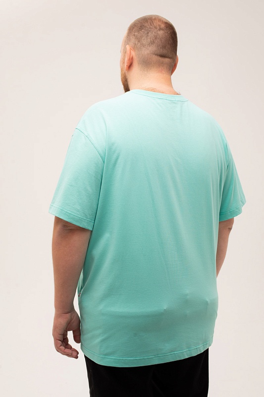 Футболка мужская мужская больших размеров, арт 4070/28 