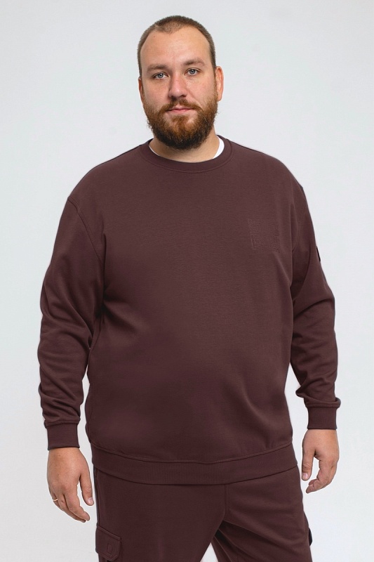 Толстовка мужская