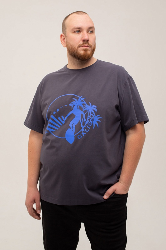 Футболка мужская мужская больших размеров, арт 4080/2/47 