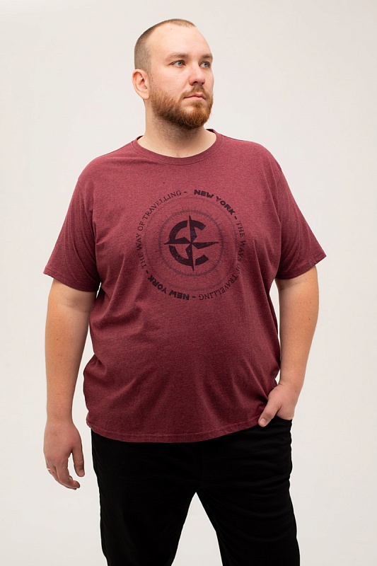 Футболка CasaModa мужская мужская больших размеров, арт 954383900/420 