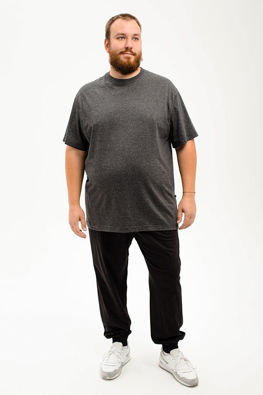 Футболка мужская мужская борльшого размера, арт 4070/20