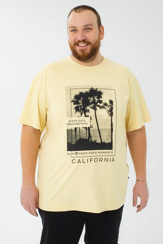 Футболка мужская мужская больших размеров, арт 4080/36/71 