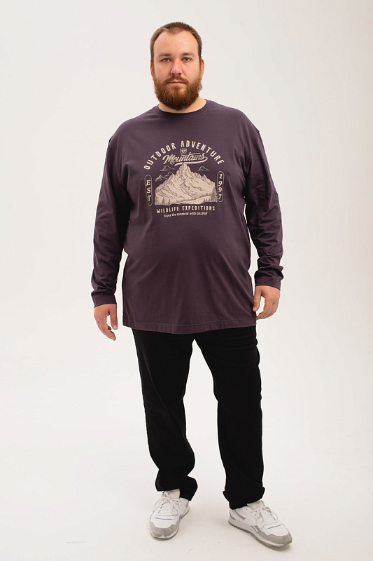 Лонгслив мужской мужская борльшого размера, арт 40140/3/63