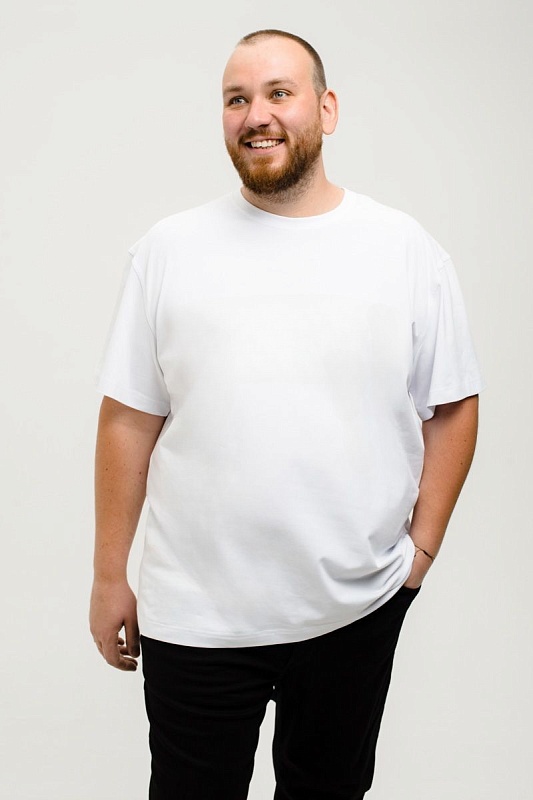 Футболка мужская мужская борльшого размера, арт 4080/14