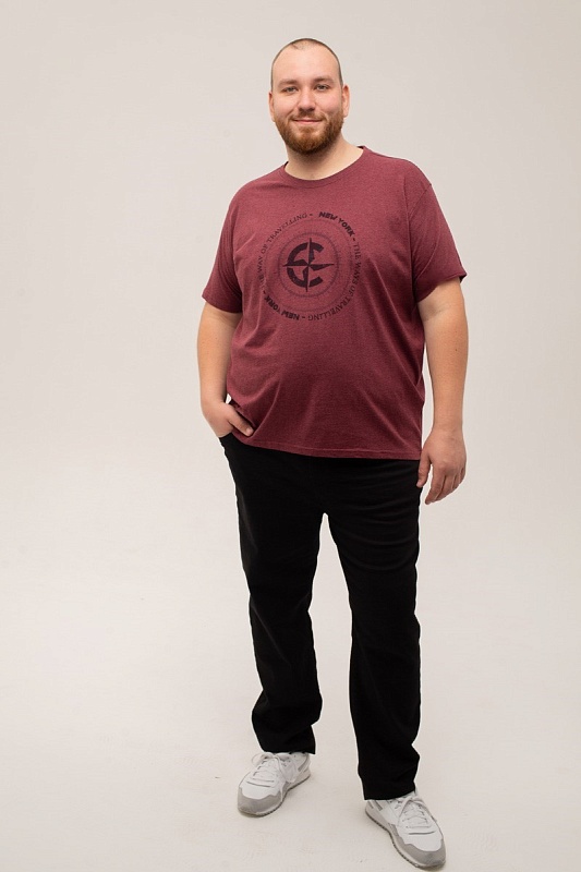 Футболка CasaModa мужская мужская больших размеров, арт 954383900/420 