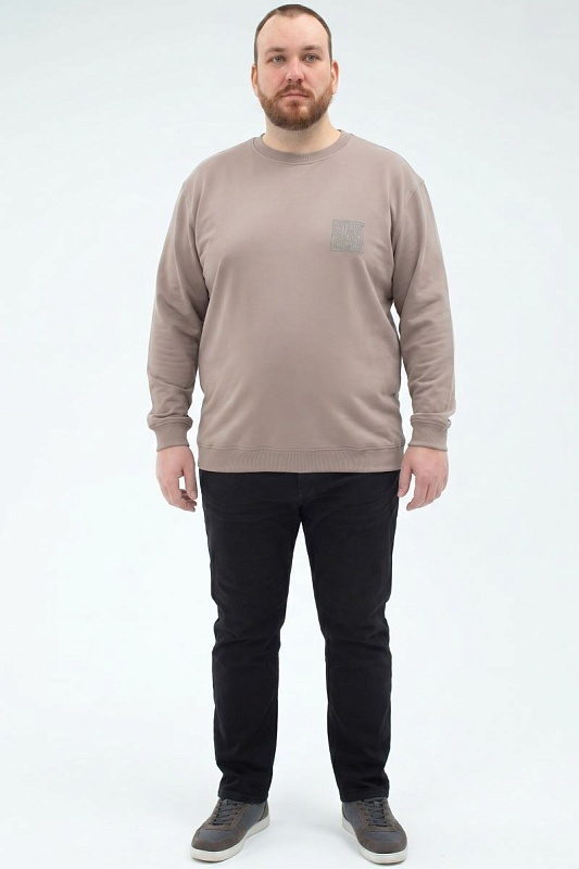 Толстовка мужская