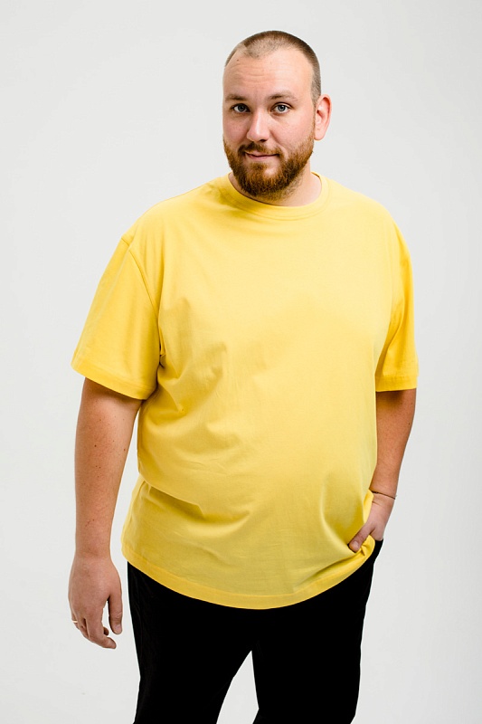 Футболка мужская мужская борльшого размера, арт 4070/31