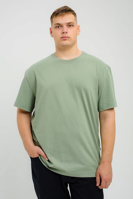 Футболка мужская мужская борльшого размера, арт 4070/25