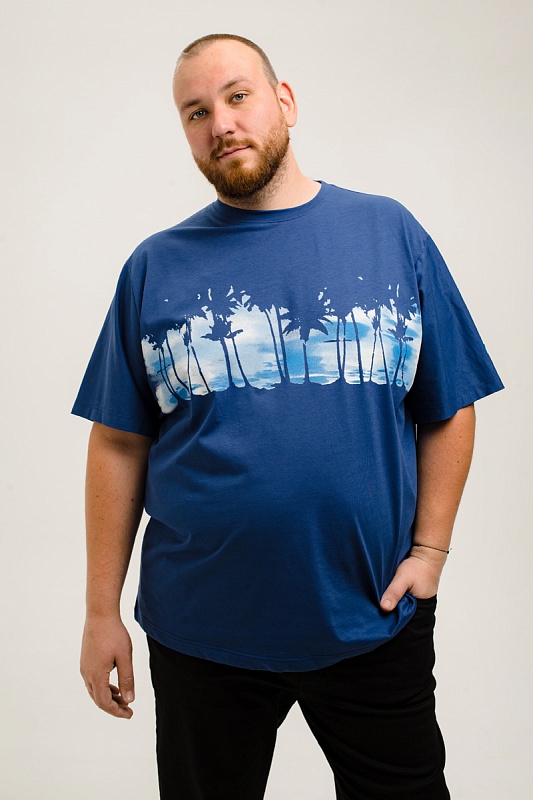 Футболка MAXFORT мужская мужская больших размеров, арт 41431-170 