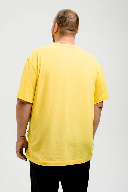 Футболка мужская мужская борльшого размера, арт 4070/31