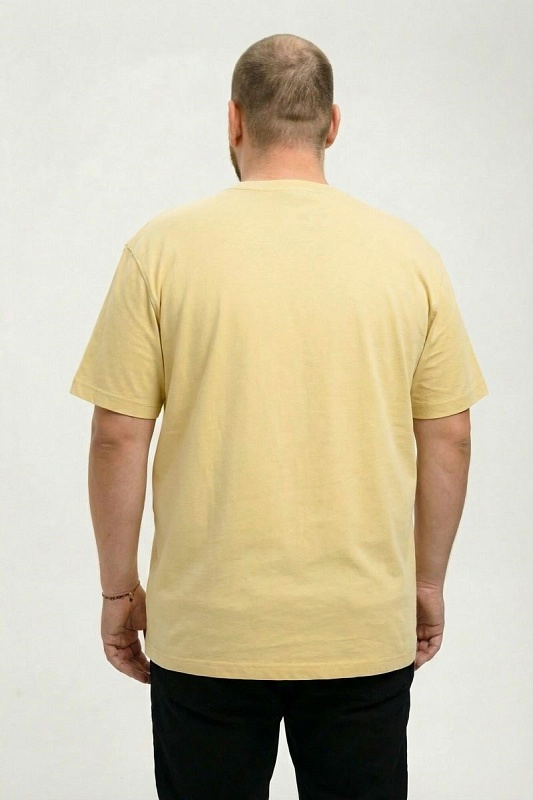 Футболка мужская мужская больших размеров, арт 4080/36/75 