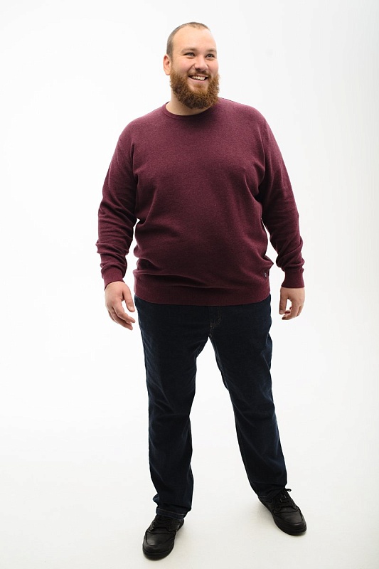 Джемпер CasaModa мужской