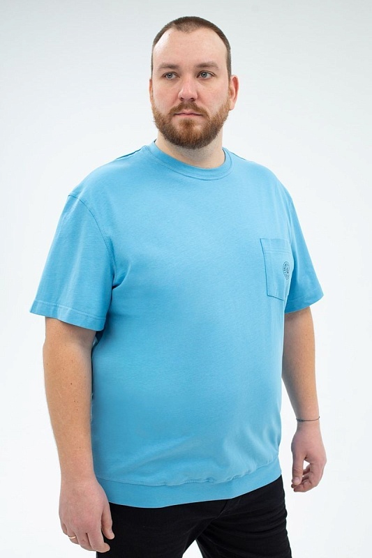 Футболка мужская мужская больших размеров, арт 40360/8 