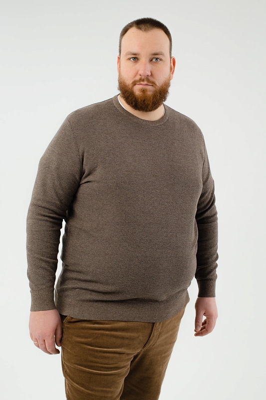 Джемпер CasaModa мужской