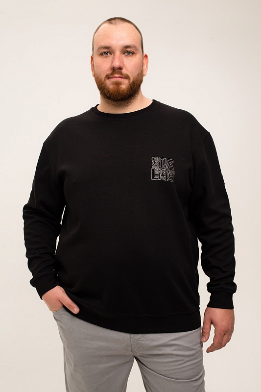 Толстовка мужская