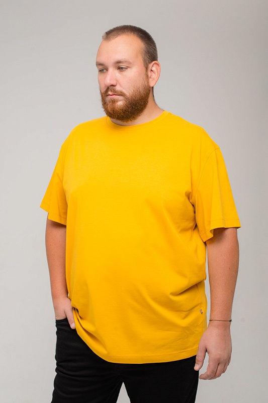 Футболка мужская мужская больших размеров, арт 4080/51 