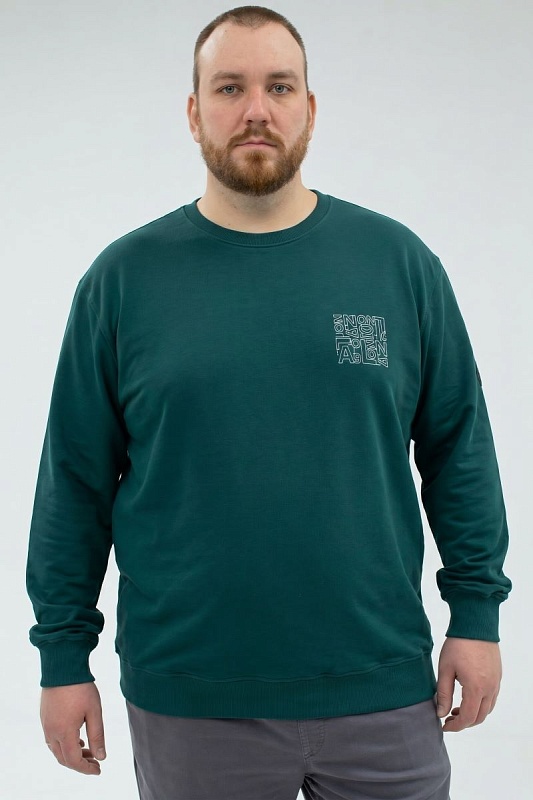 Толстовка мужская