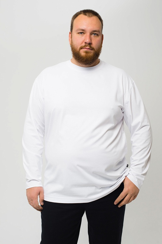 Лонгслив мужской мужская борльшого размера, арт 40140/14
