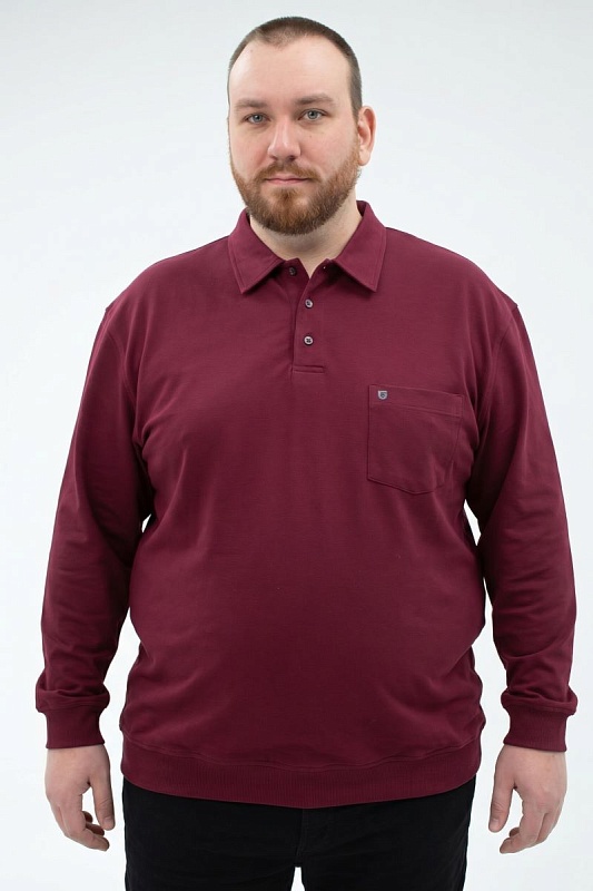 Мужская футболка-поло большого размера, арт 50288/6