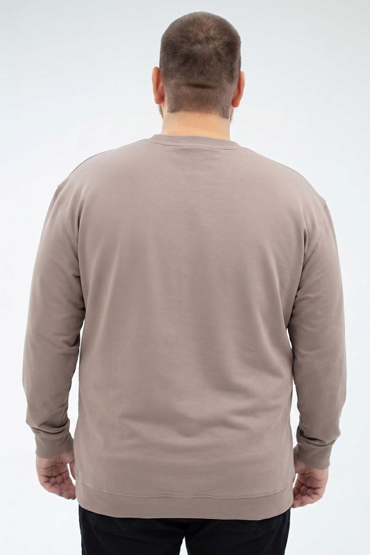 Толстовка мужская