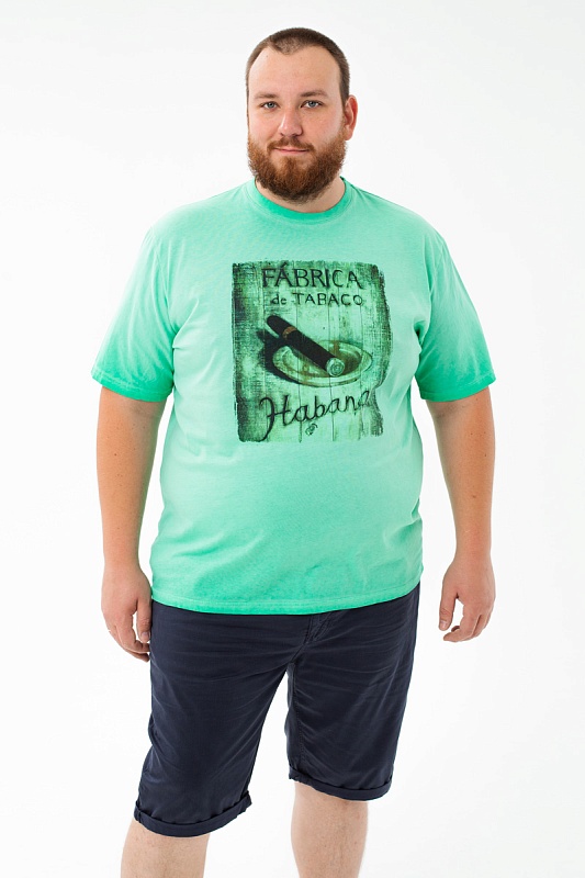 Футболка MAXFORT мужская мужская борльшого размера, арт 39420520