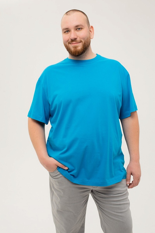 Футболка мужская мужская борльшого размера, арт 4070/19