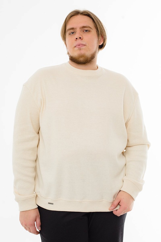 Джемпер мужской