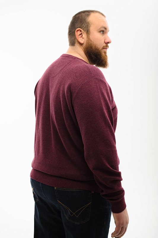 Джемпер CasaModa мужской