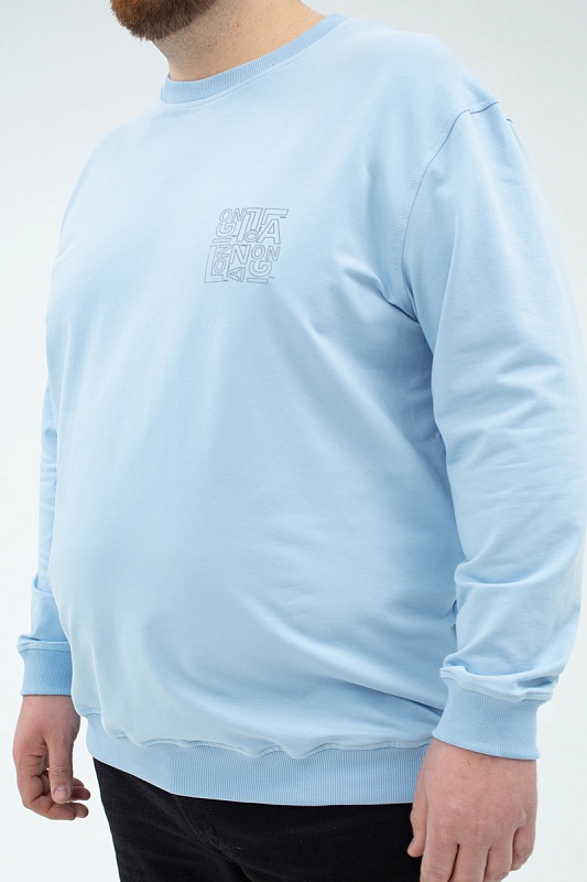 Толстовка мужская