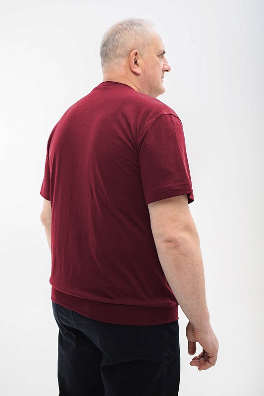 Футболка мужская мужская борльшого размера, арт 40360/6