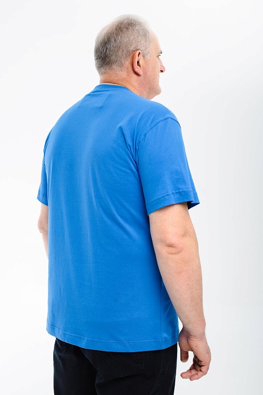 Футболка мужская мужская борльшого размера, арт 4071/19