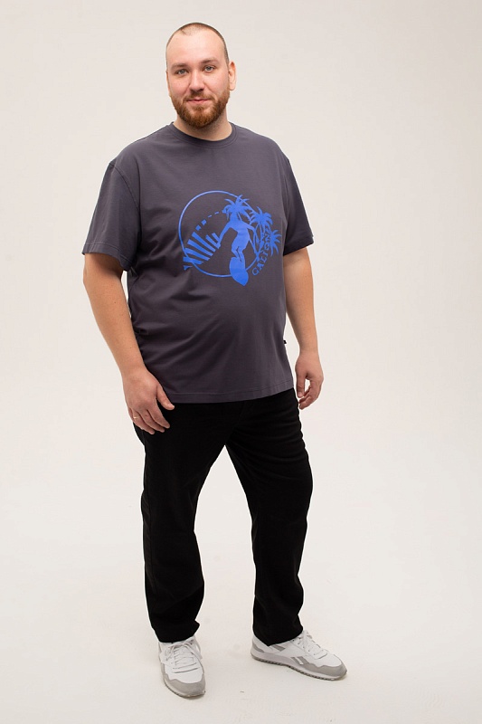 Футболка мужская мужская больших размеров, арт 4080/2/47 