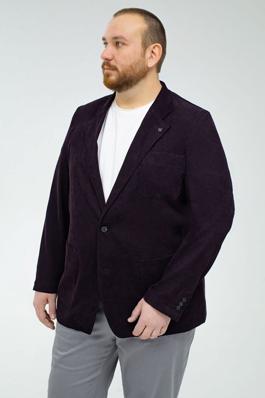 Мужской пиджак большого размера, арт 21137/18