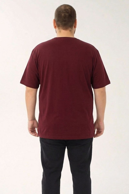 Футболка мужская мужская больших размеров, арт 4080/69 