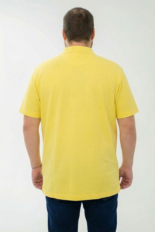 Мужская футболка-поло большого размера, арт 50130/31