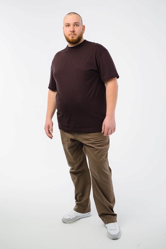 Футболка мужская мужская борльшого размера, арт 4070/18