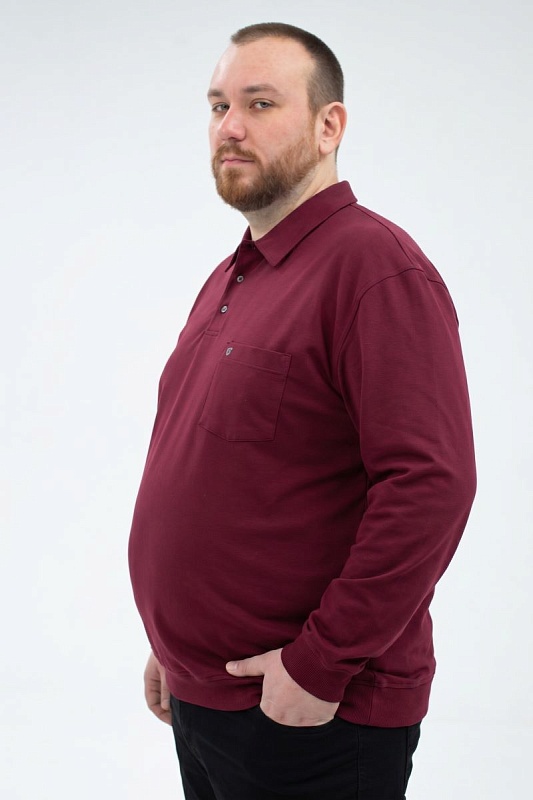 Мужская футболка-поло большого размера, арт 50288/6